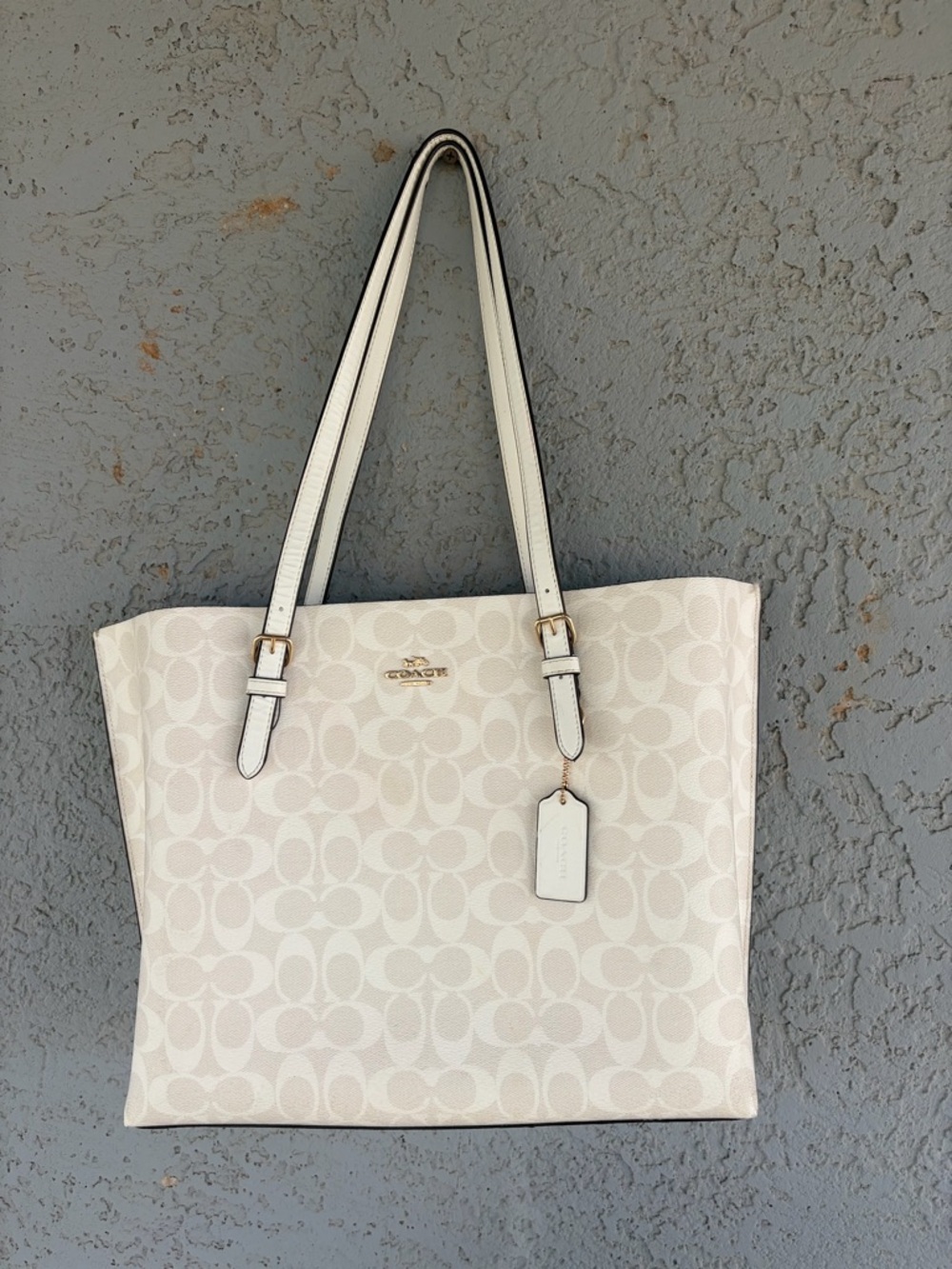 Coach Chalk Signature Canvas Tote with Gold Hardware